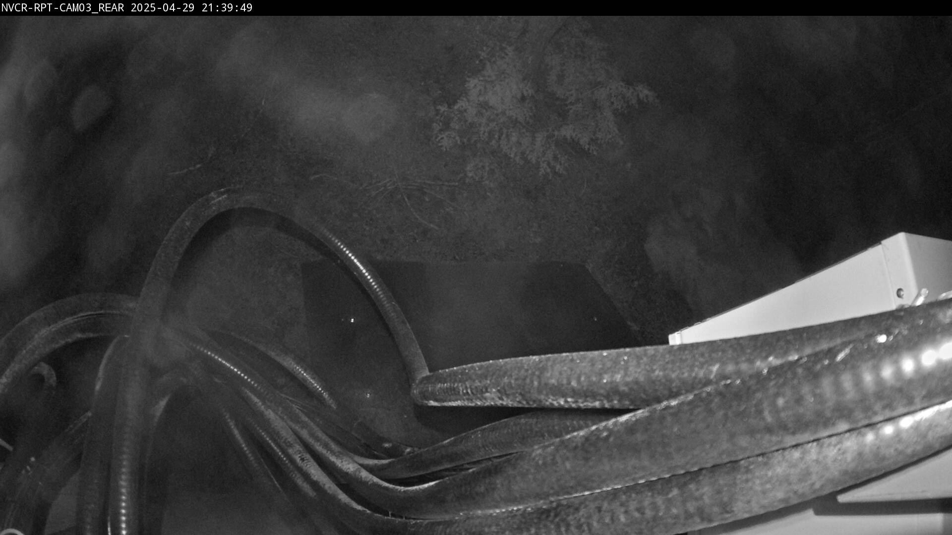 Web Cam History Image - 241