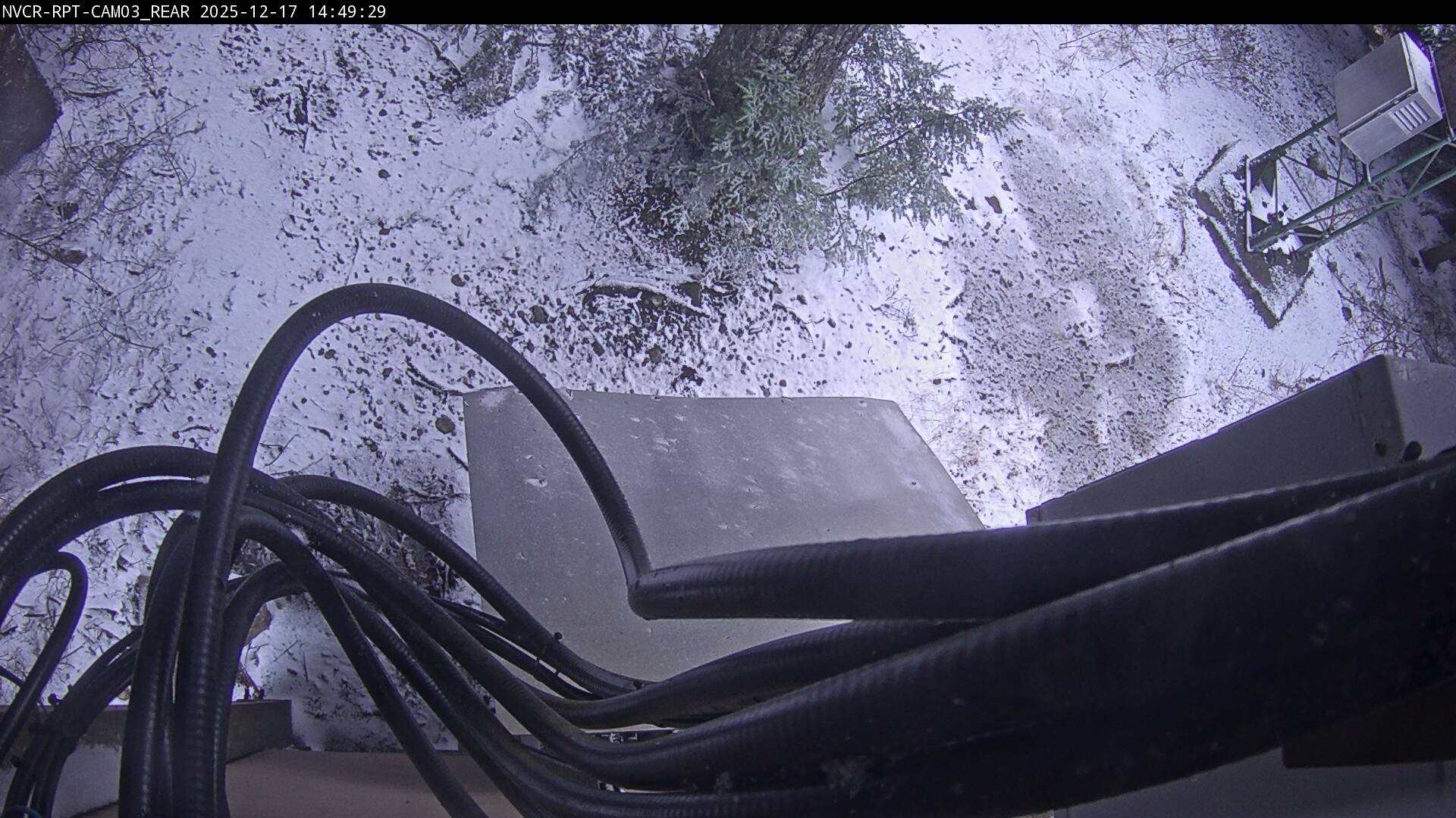 Web Cam History Image - 244