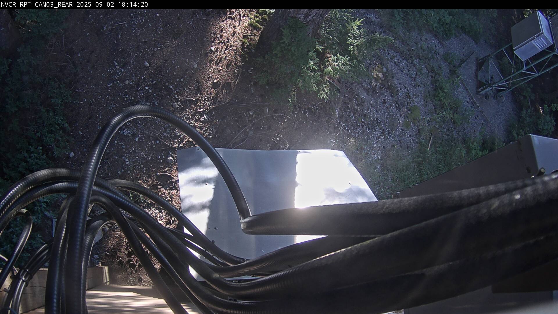 Web Cam History Image - 245