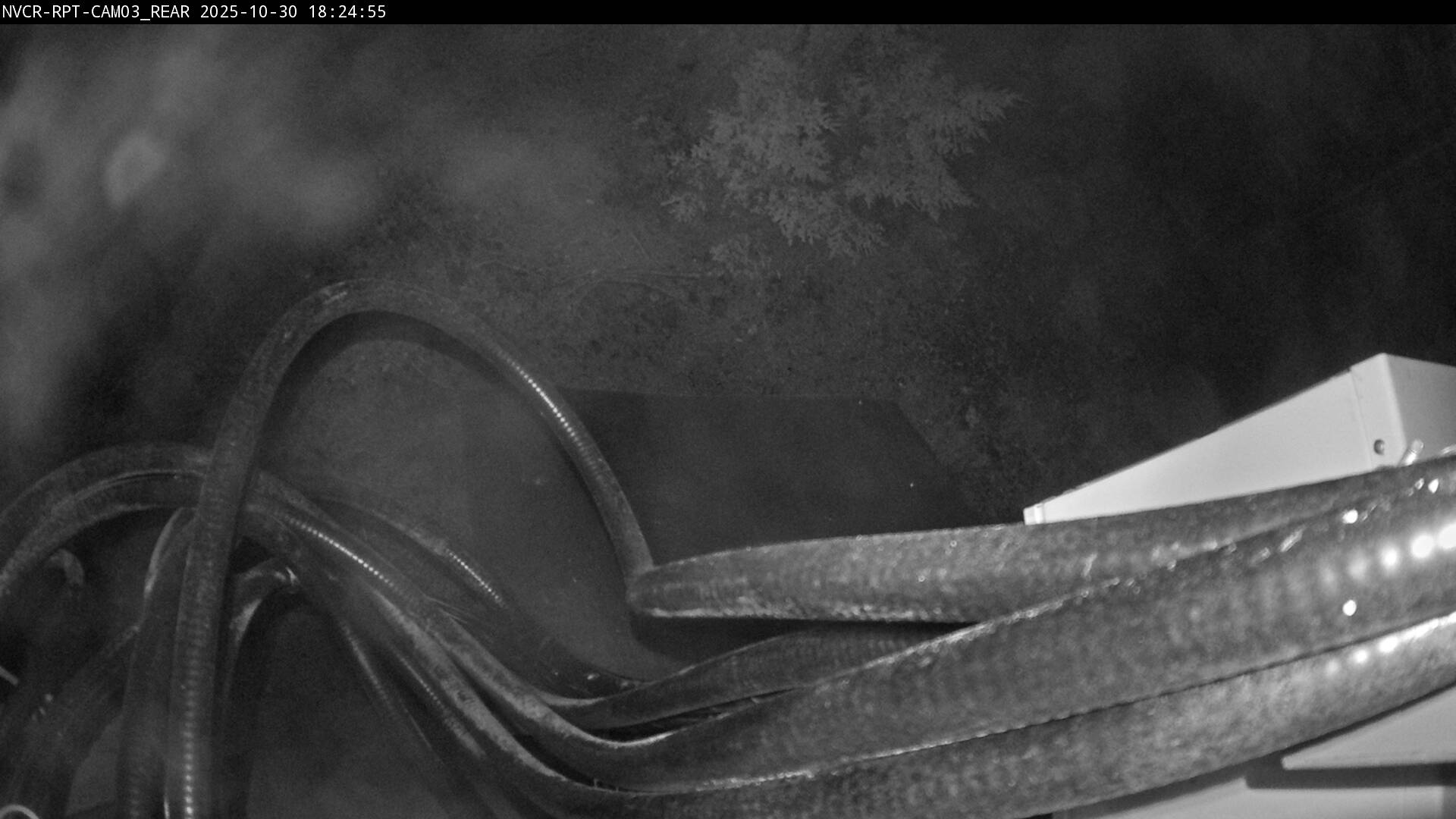 Web Cam History Image - 245