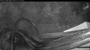 Web Cam Image - Fri, 05/01/2026 4:34am PDT