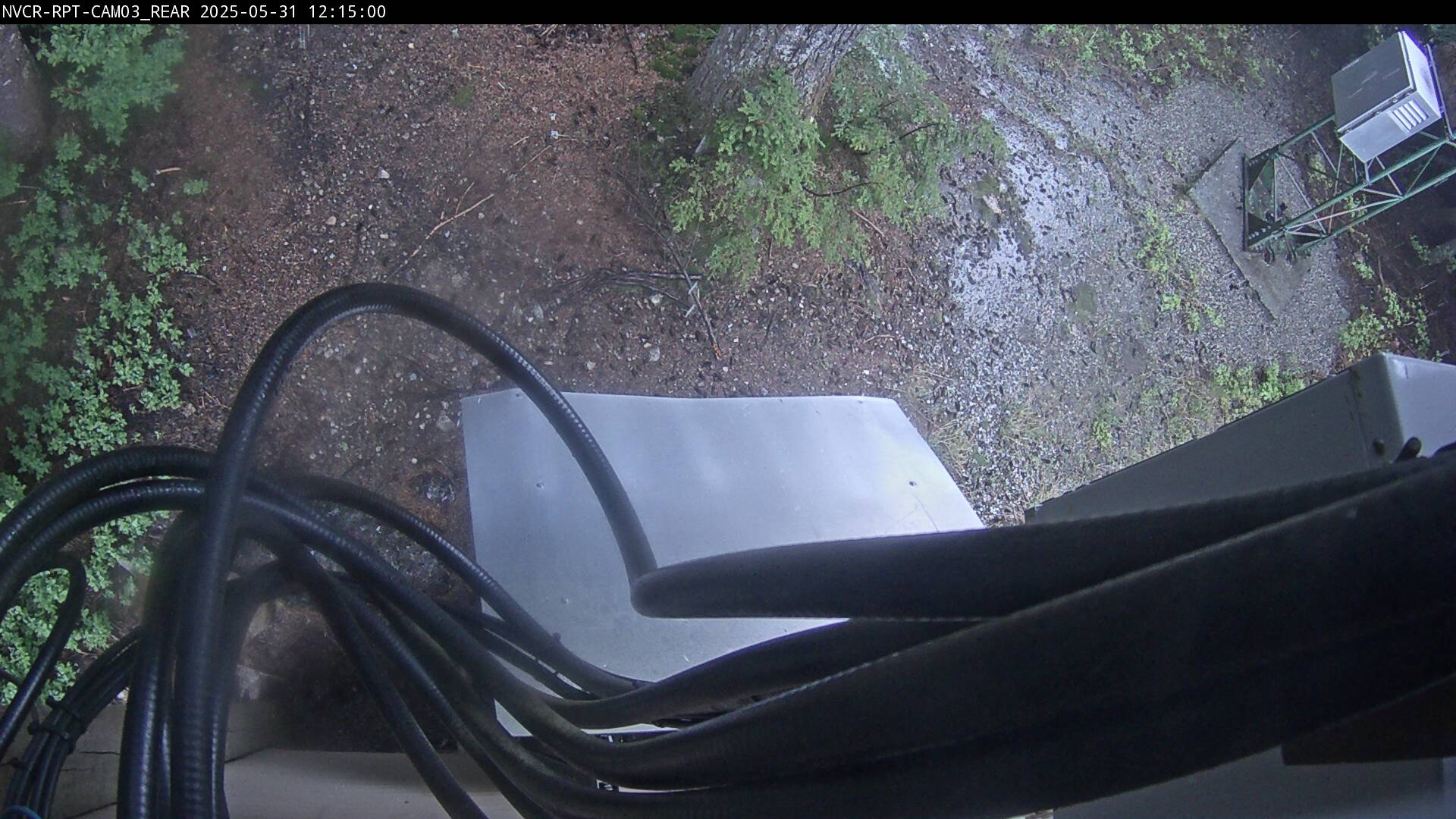 Web Cam History Image - 246