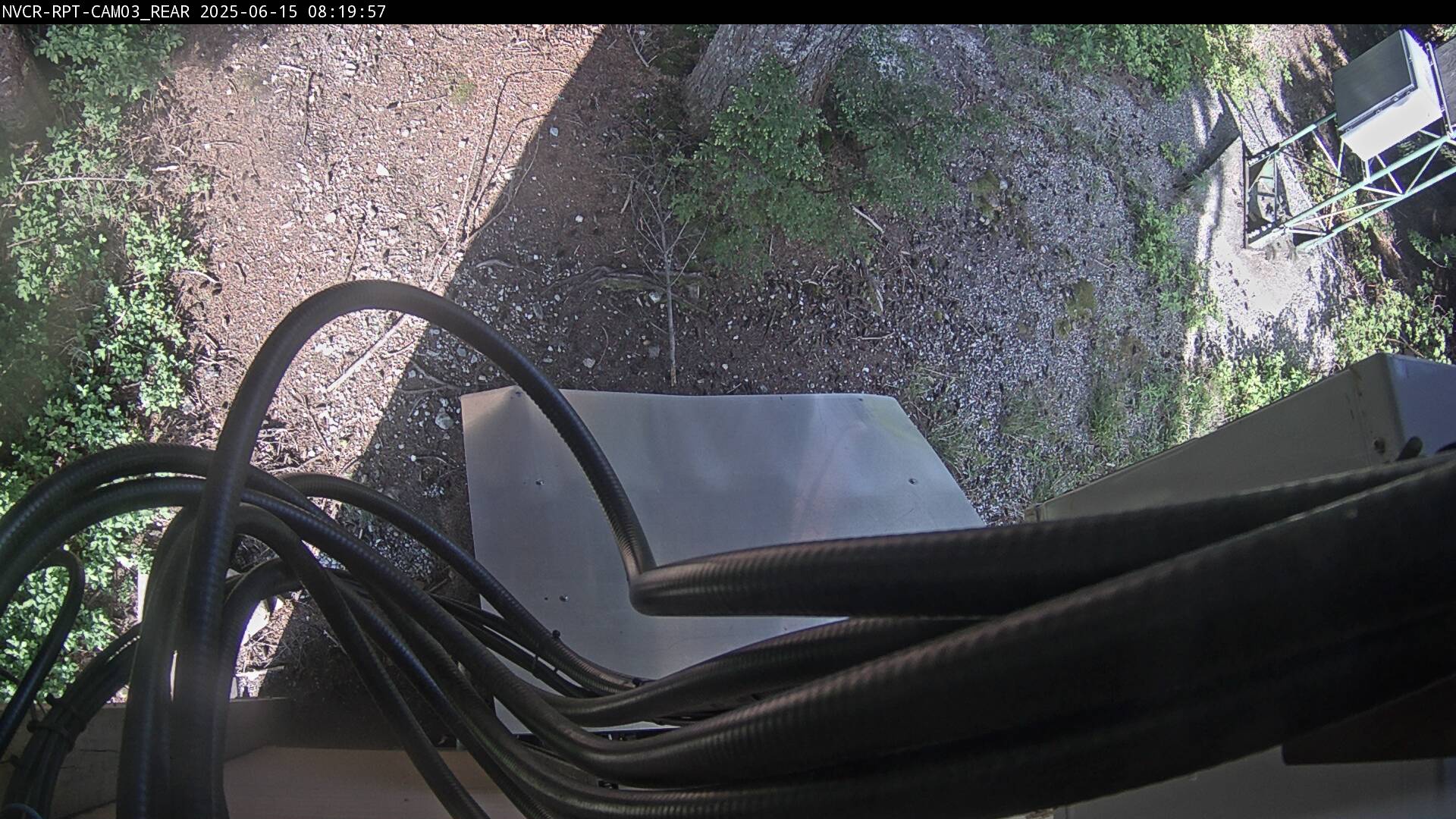 Web Cam History Image - 246