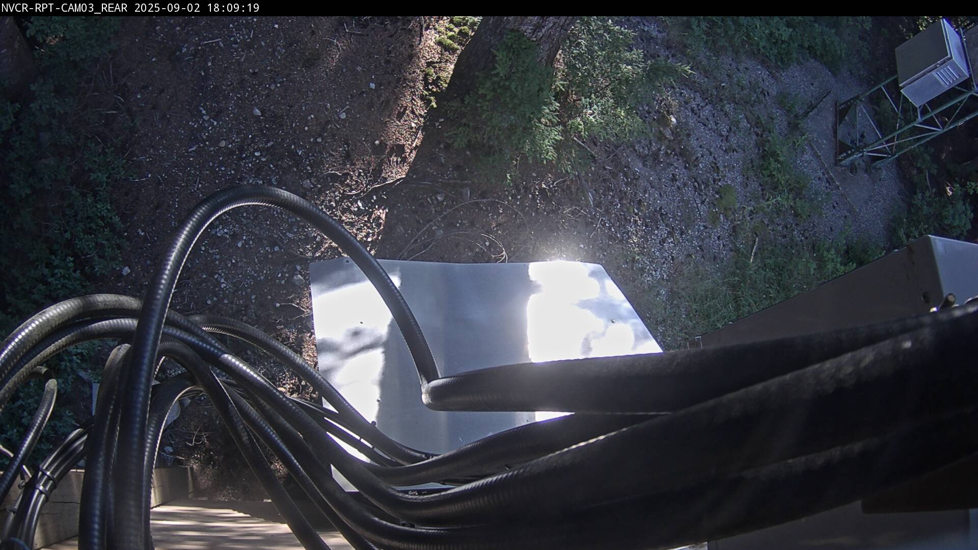 Web Cam History Image - 246