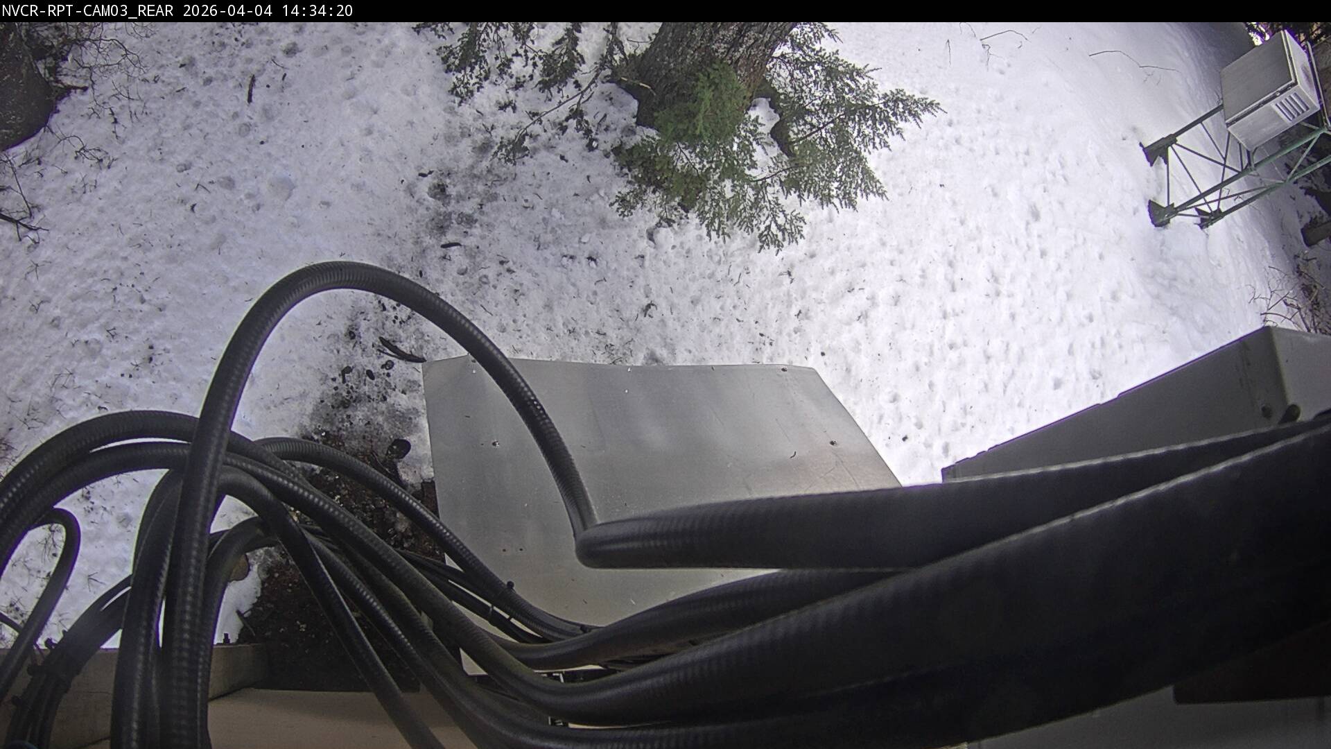 Web Cam History Image - 246