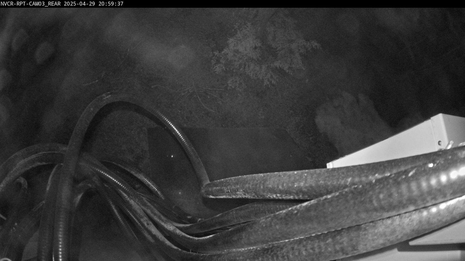 Web Cam History Image - 247