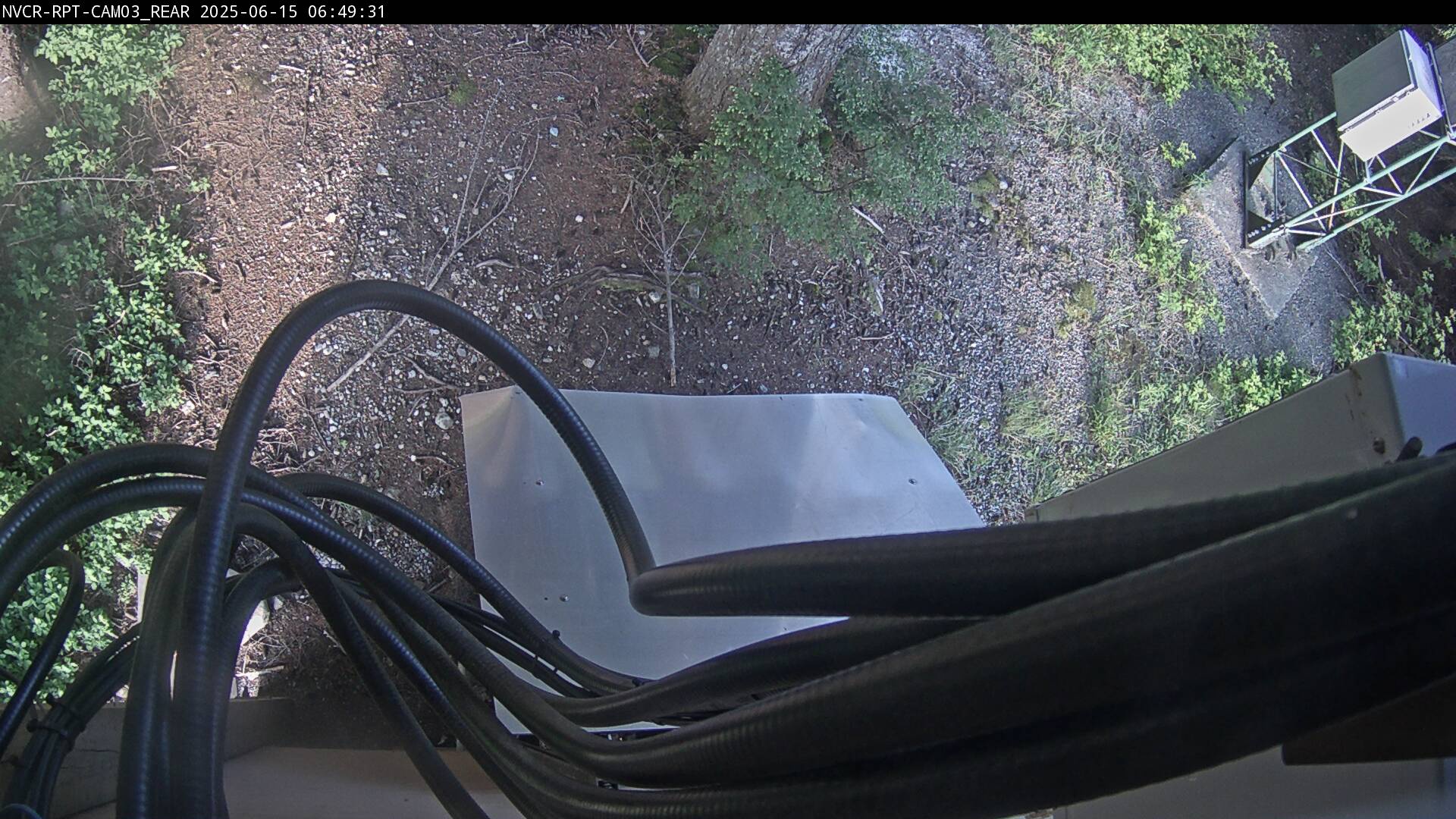 Web Cam History Image - 247