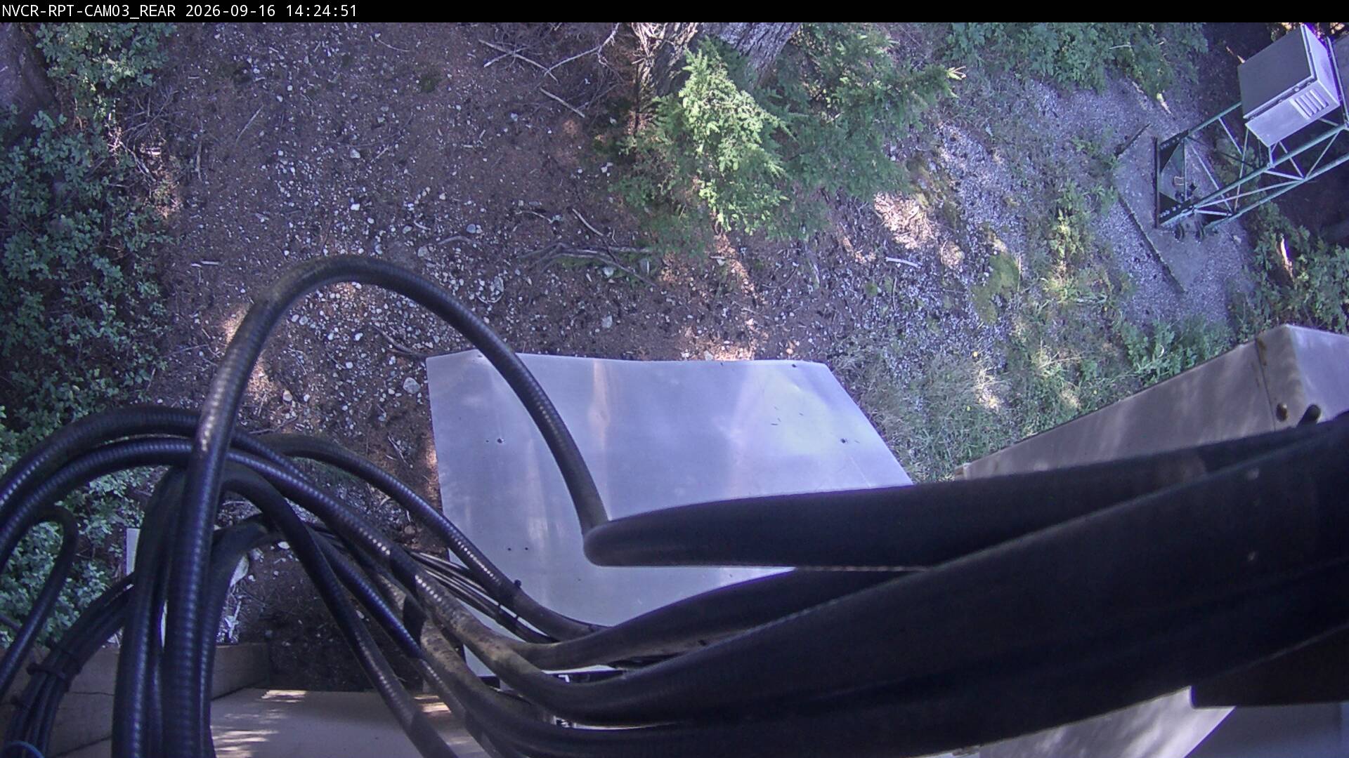 Web Cam History Image - 247