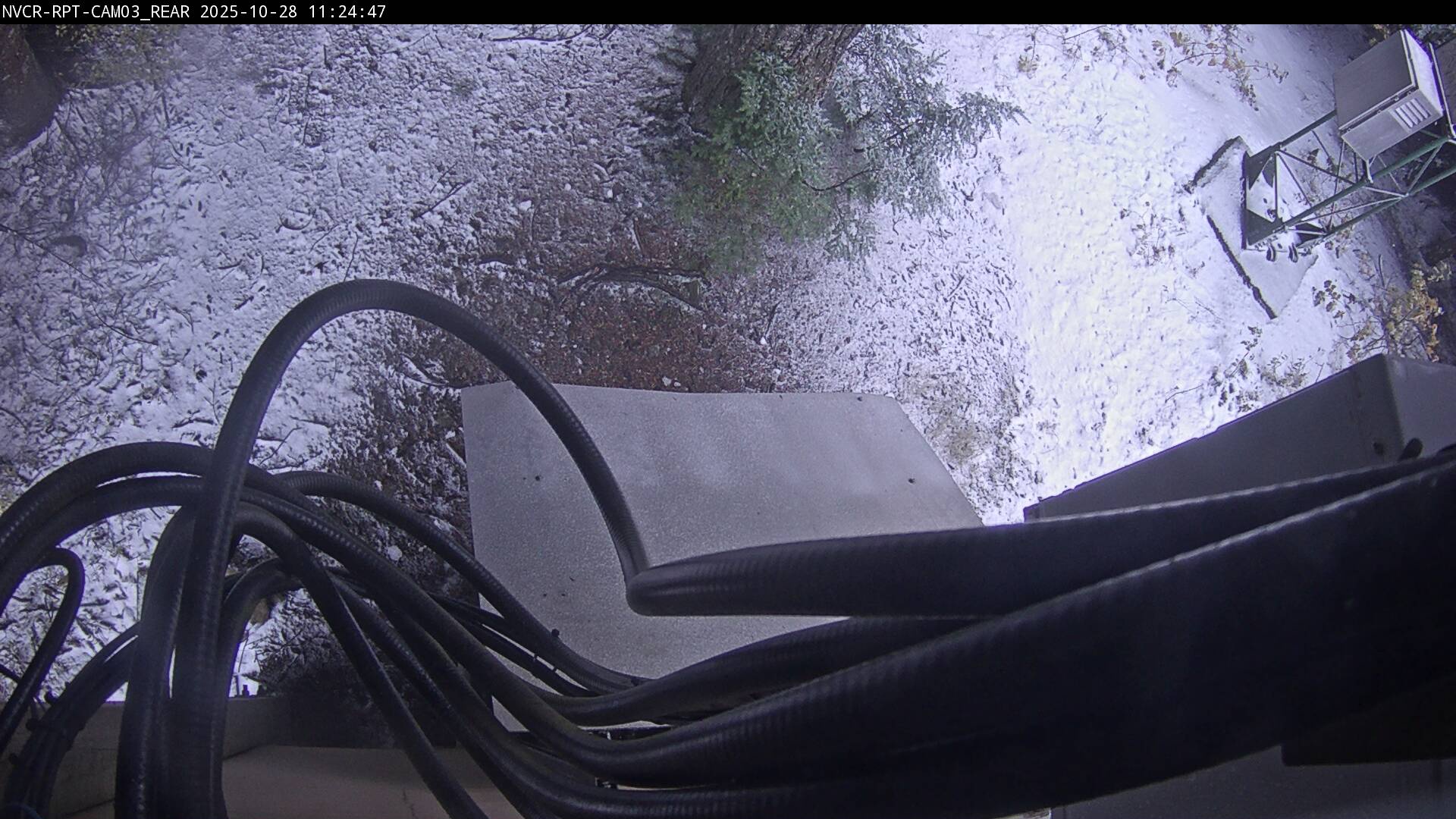 Web Cam History Image - 248