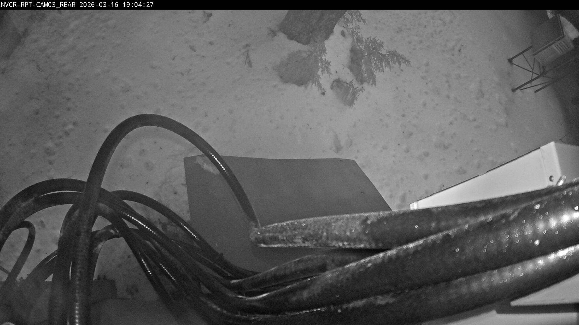 Web Cam History Image - 248