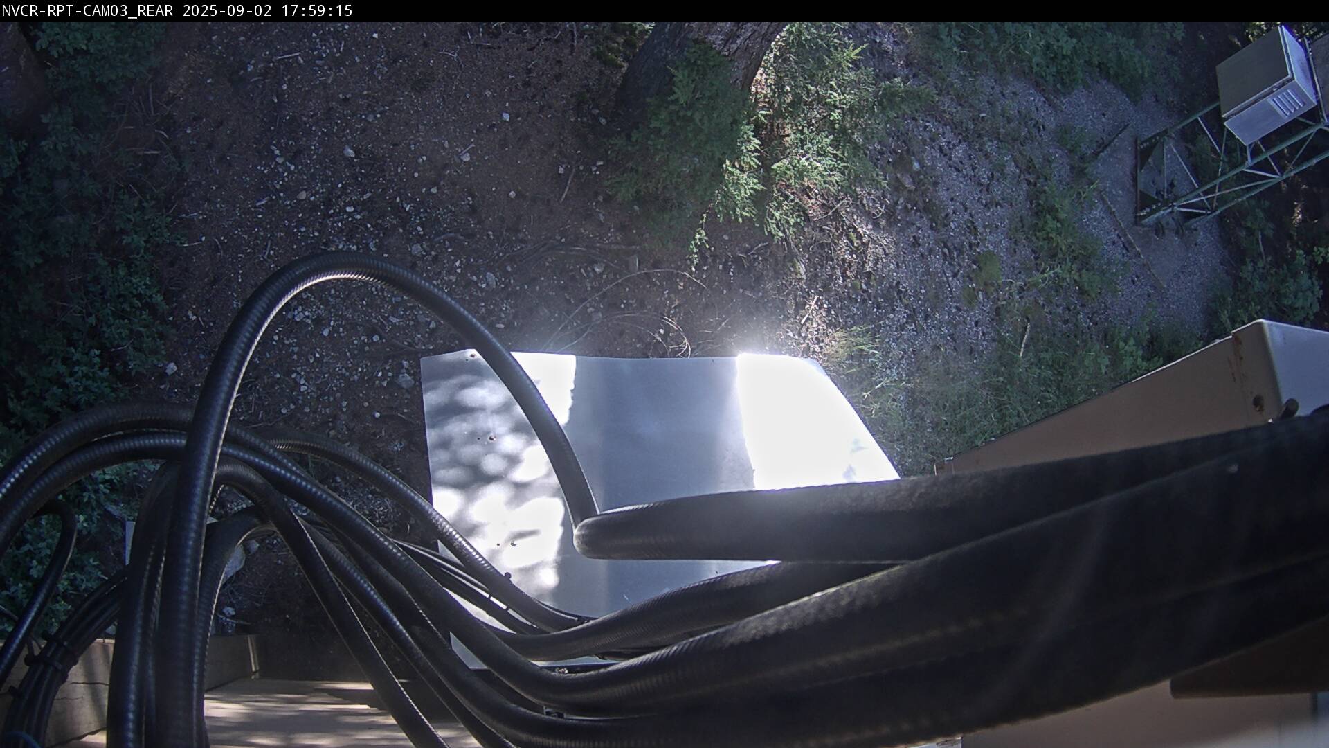 Web Cam History Image - 249