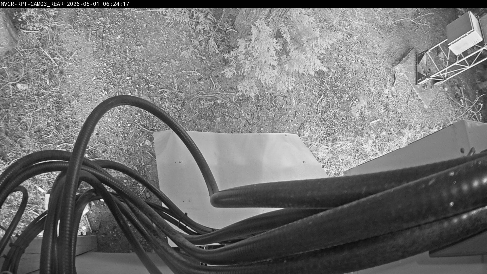Web Cam History Image - 249
