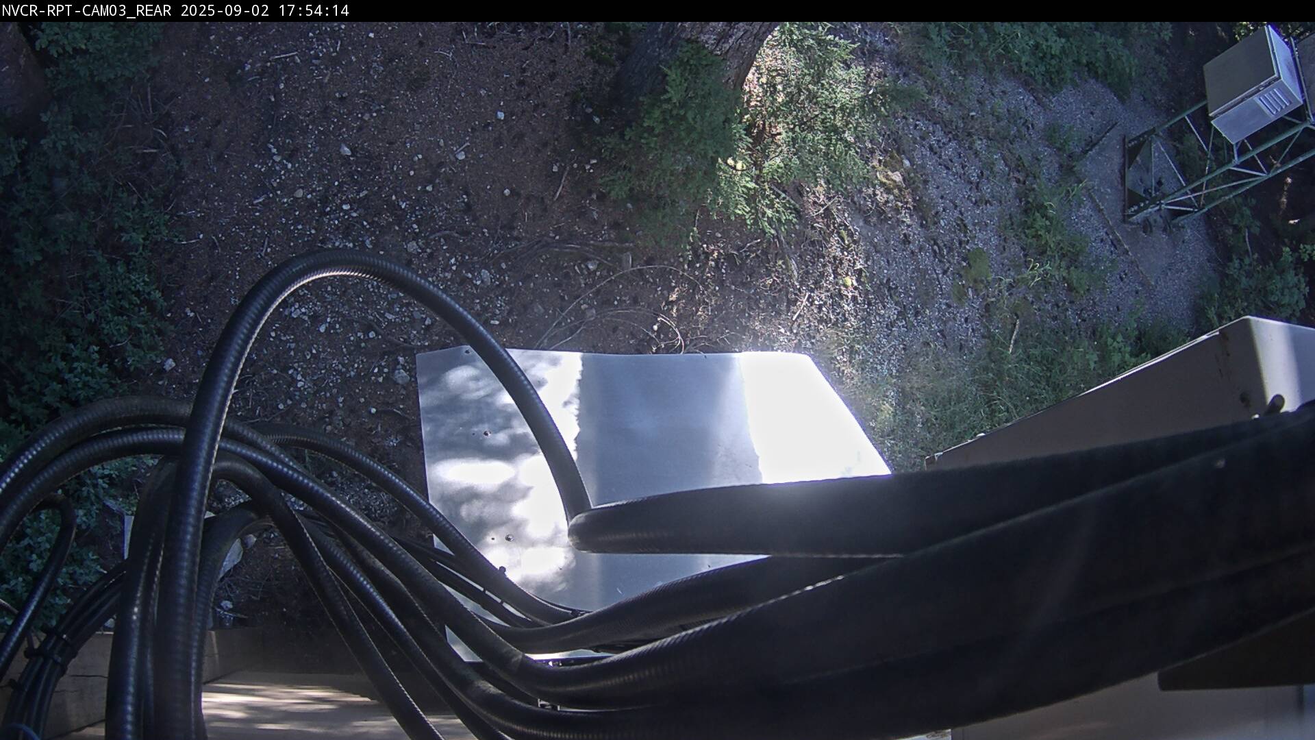 Web Cam History Image - 250