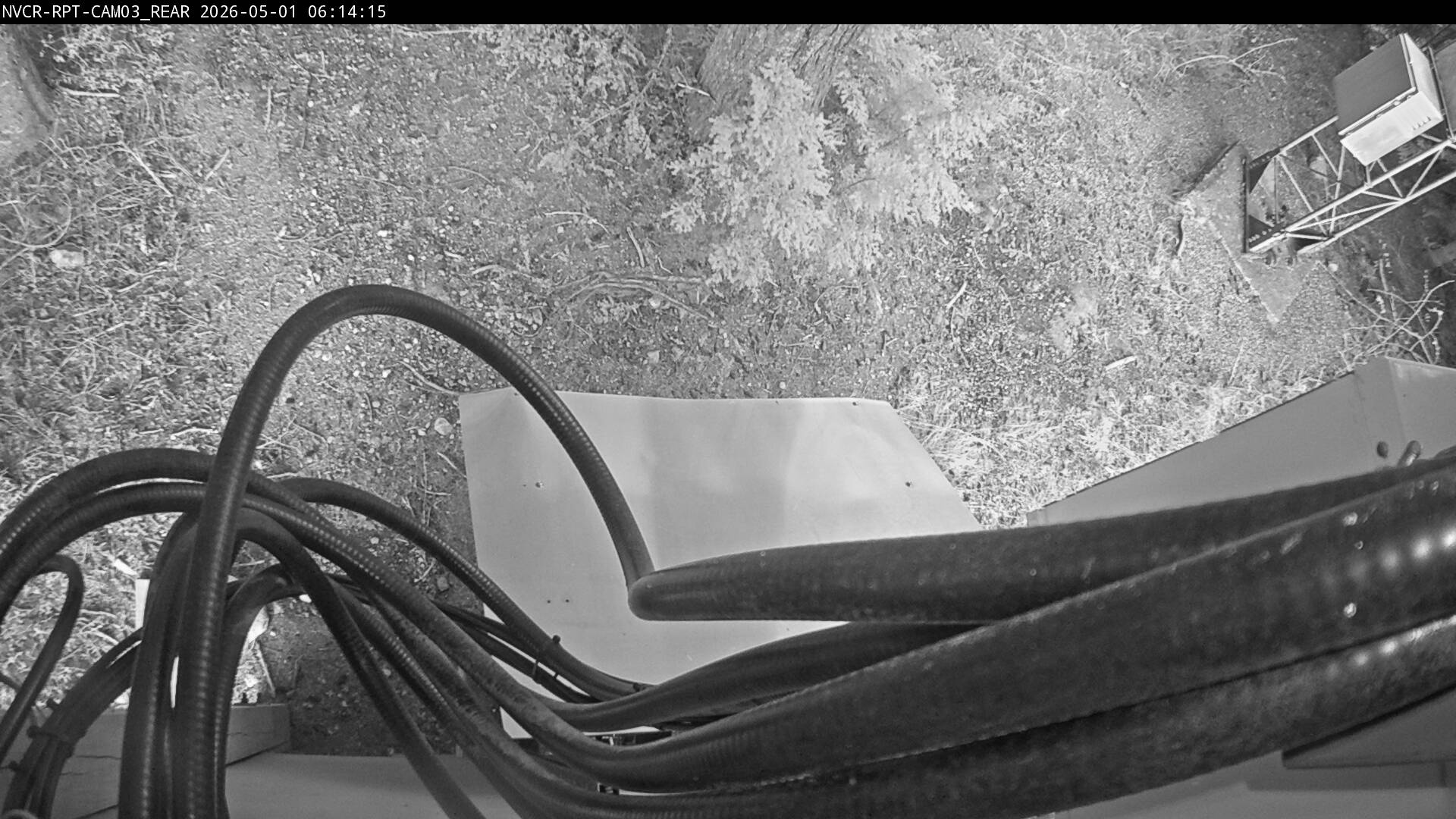 Web Cam History Image - 250