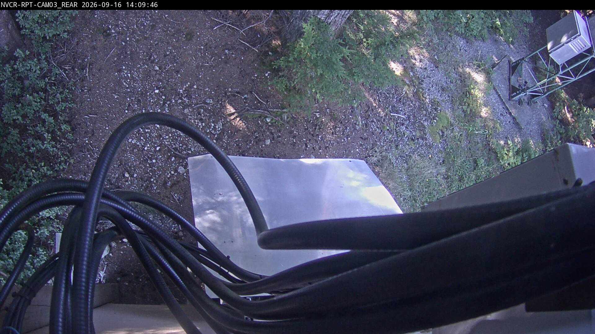 Web Cam History Image - 250