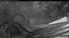 Web Cam Image - Fri, 10/16/2026 6:29am PDT