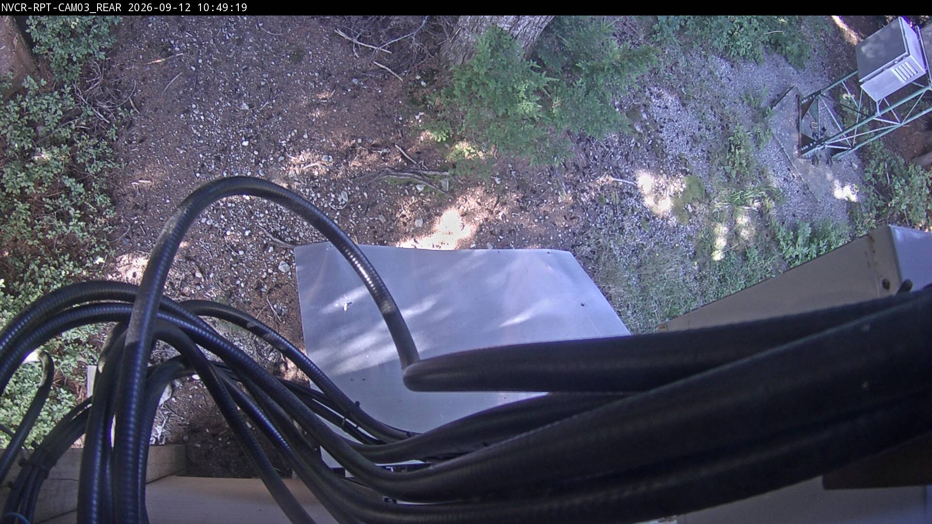 Web Cam History Image - 26