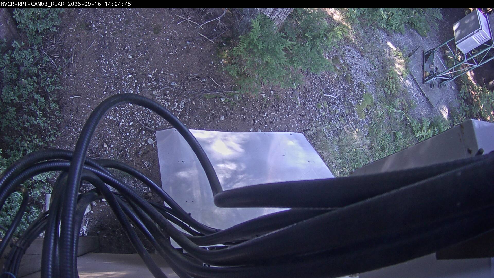Web Cam History Image - 251
