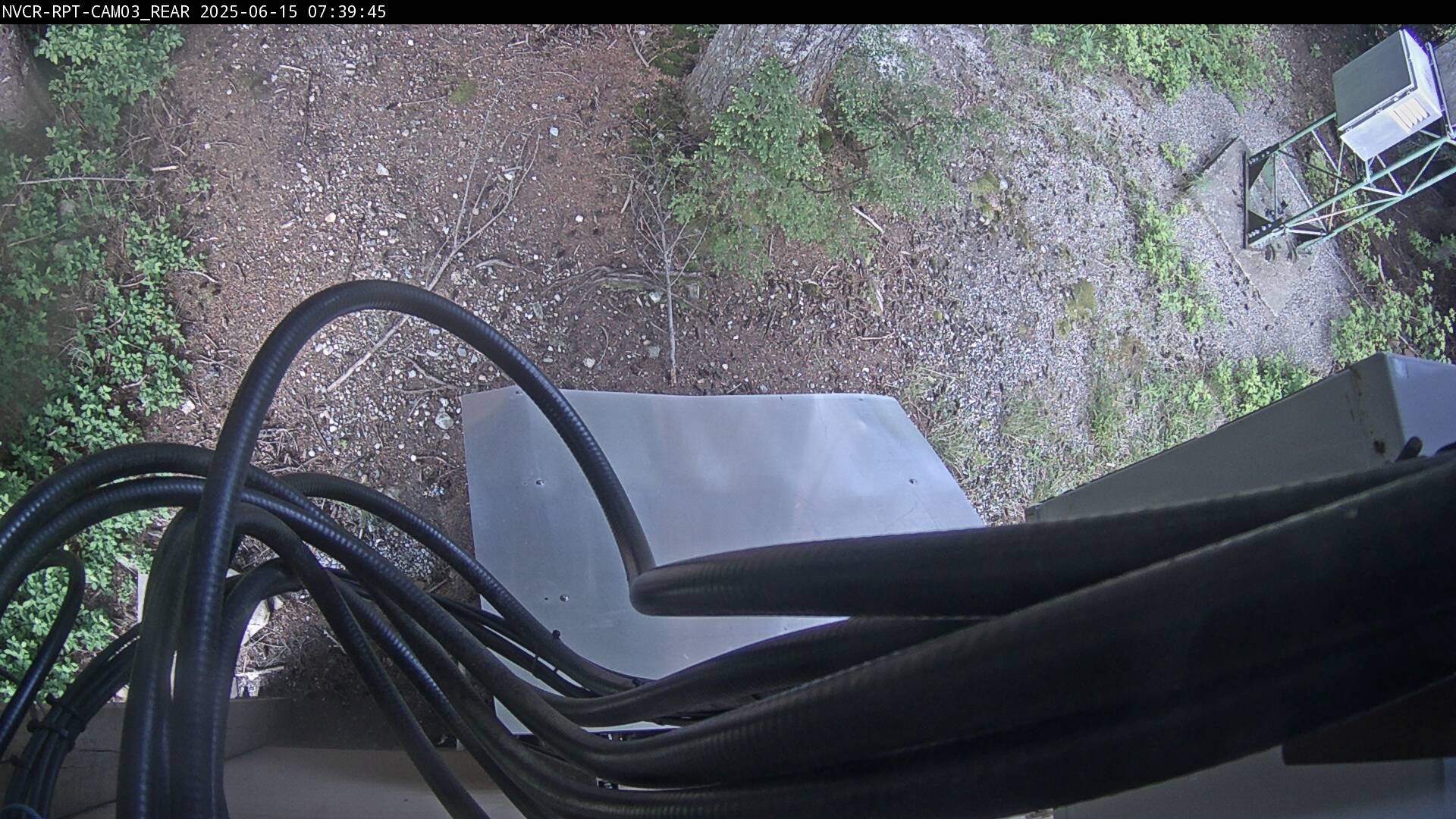 Web Cam History Image - 252