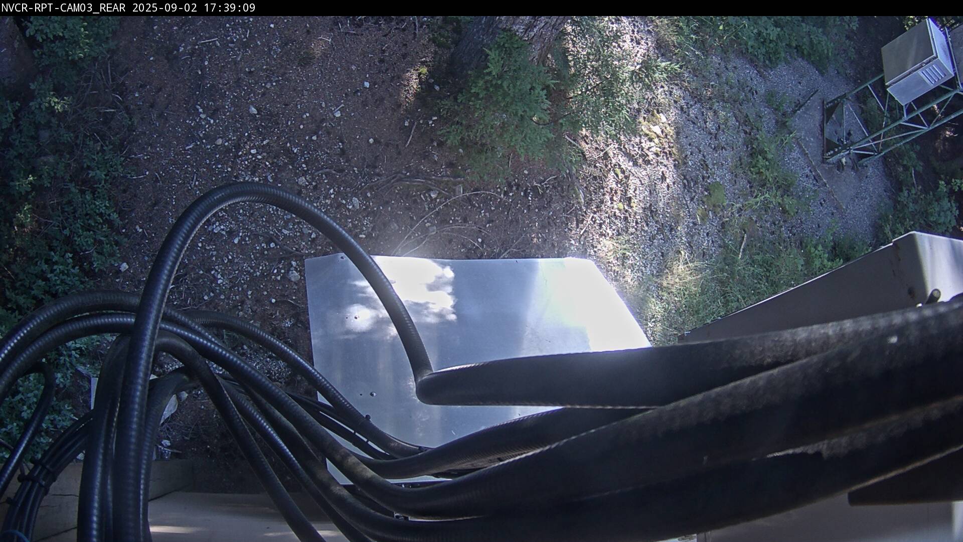 Web Cam History Image - 252