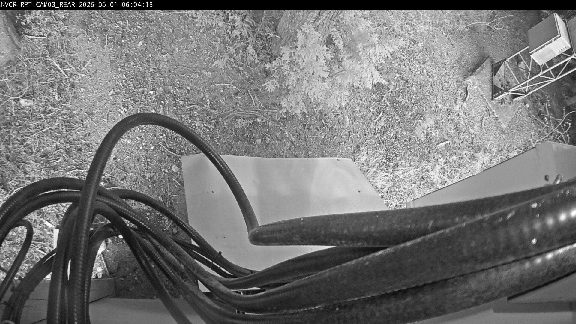 Web Cam History Image - 252