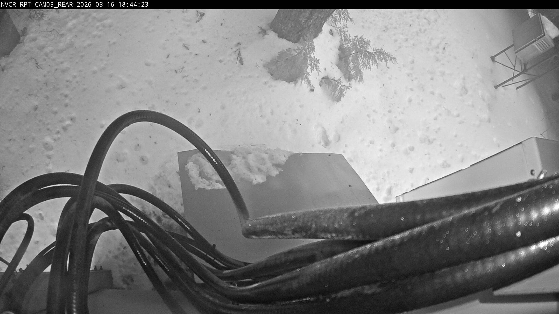 Web Cam History Image - 253