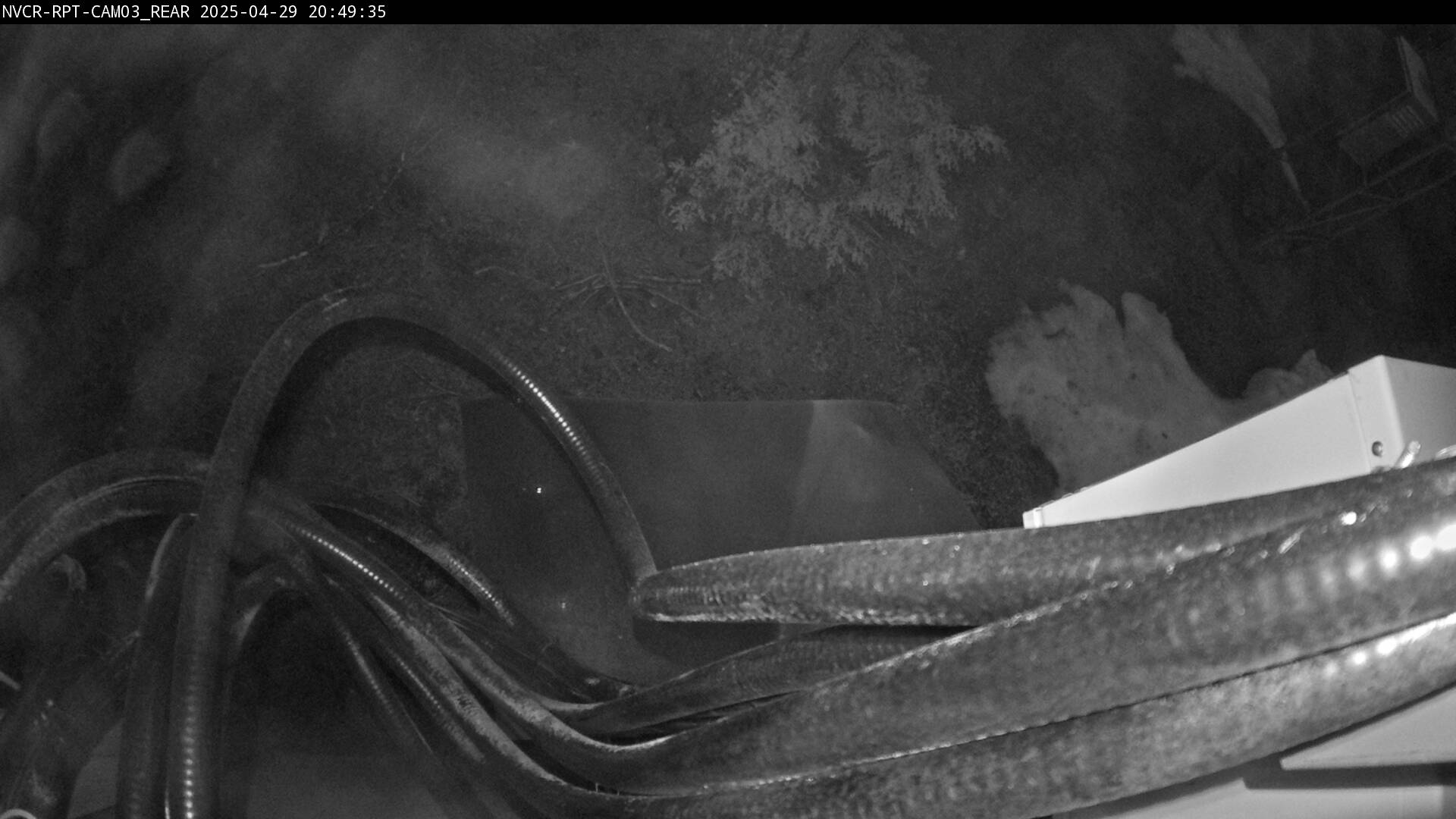 Web Cam History Image - 255