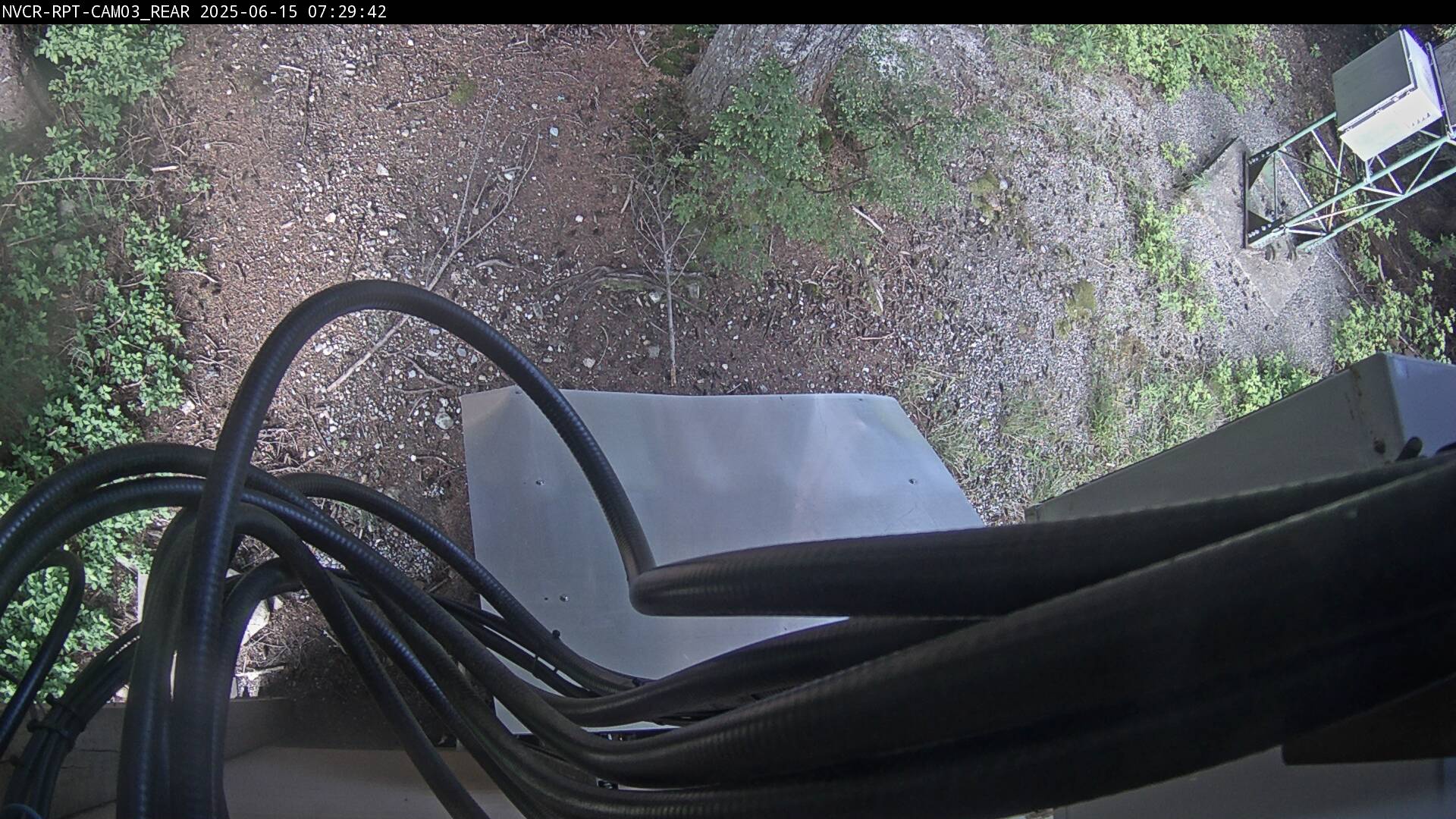 Web Cam History Image - 255