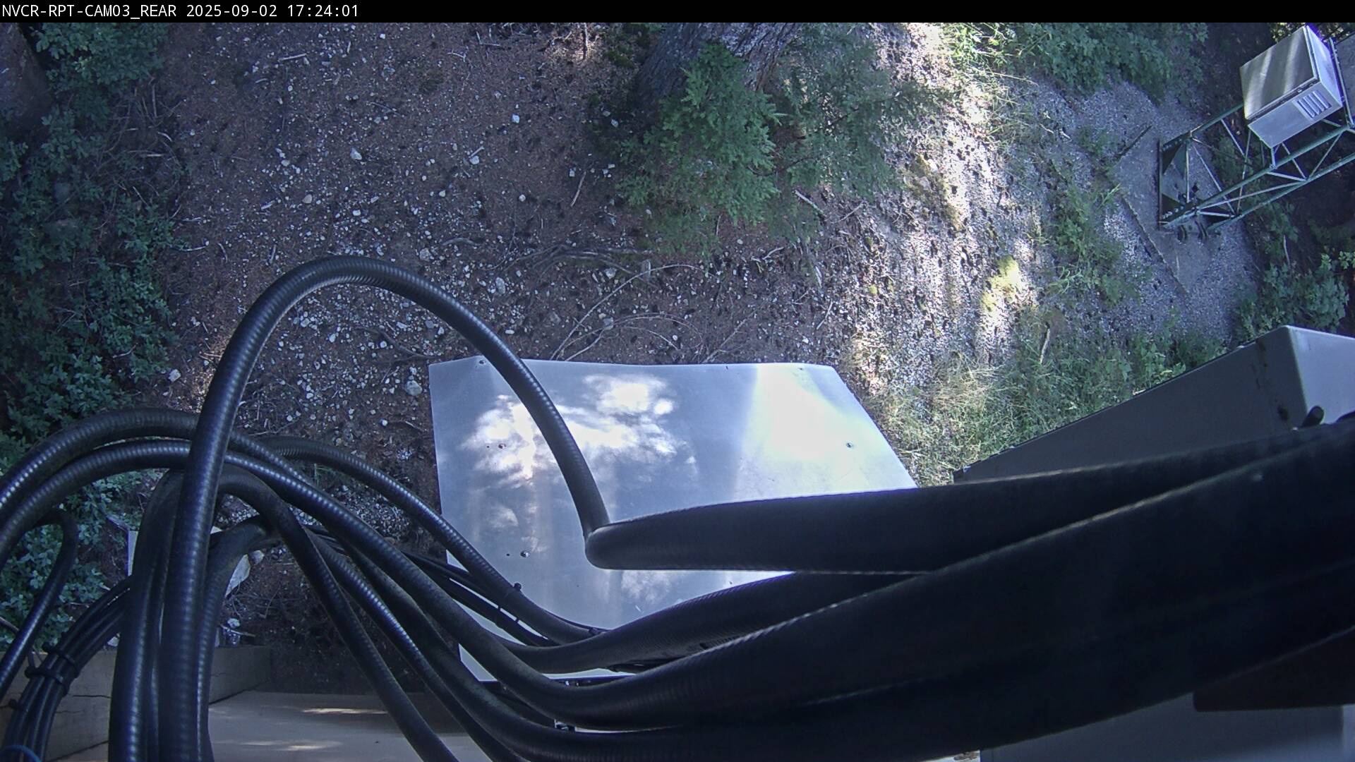 Web Cam History Image - 255