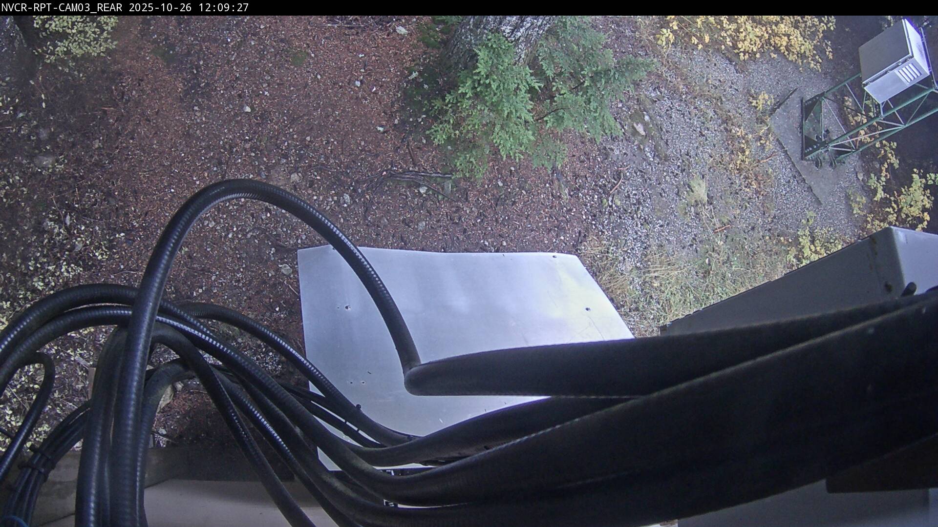 Web Cam History Image - 255