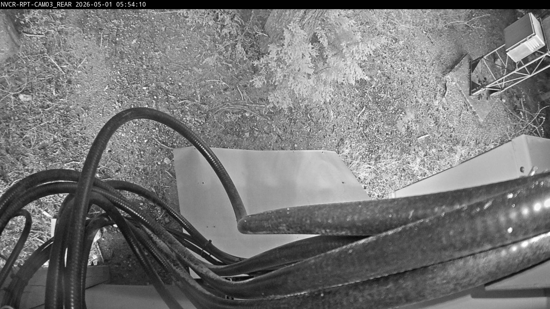 Web Cam History Image - 255