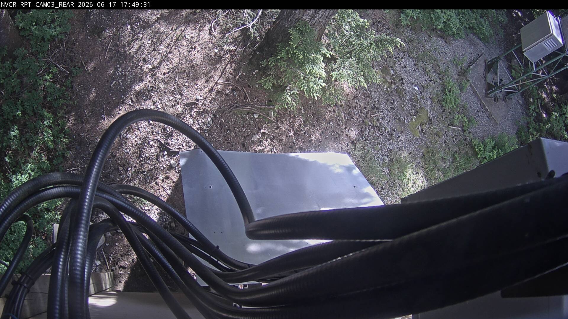Web Cam History Image - 255