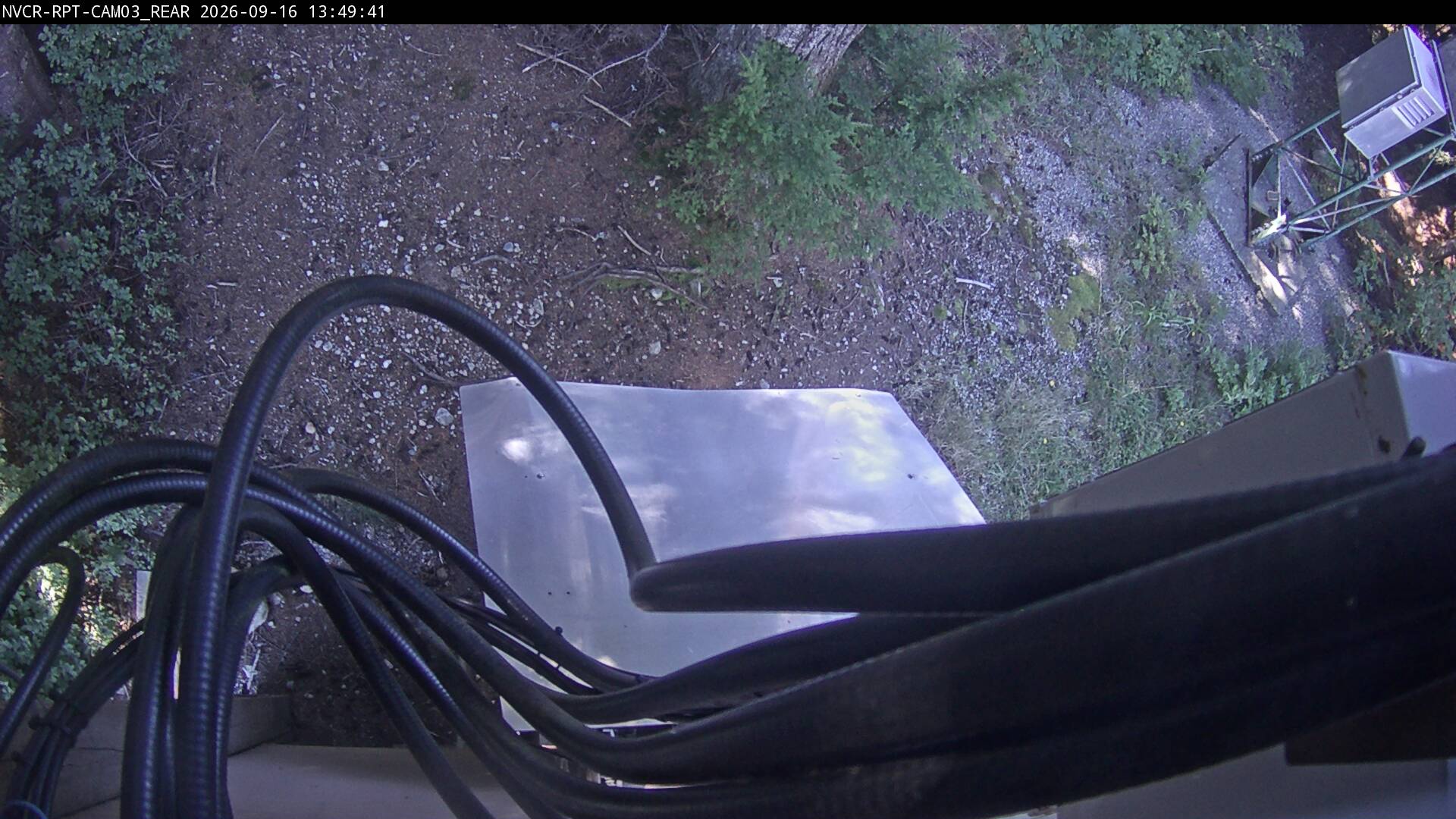 Web Cam History Image - 255