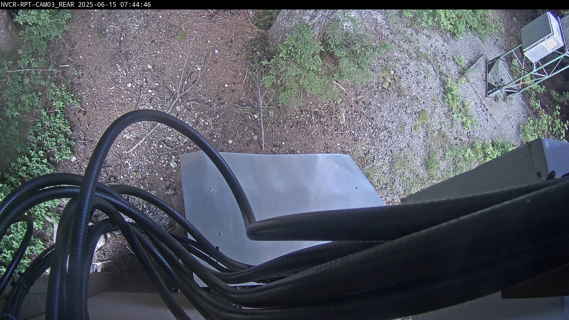 Web Cam History Image - 256