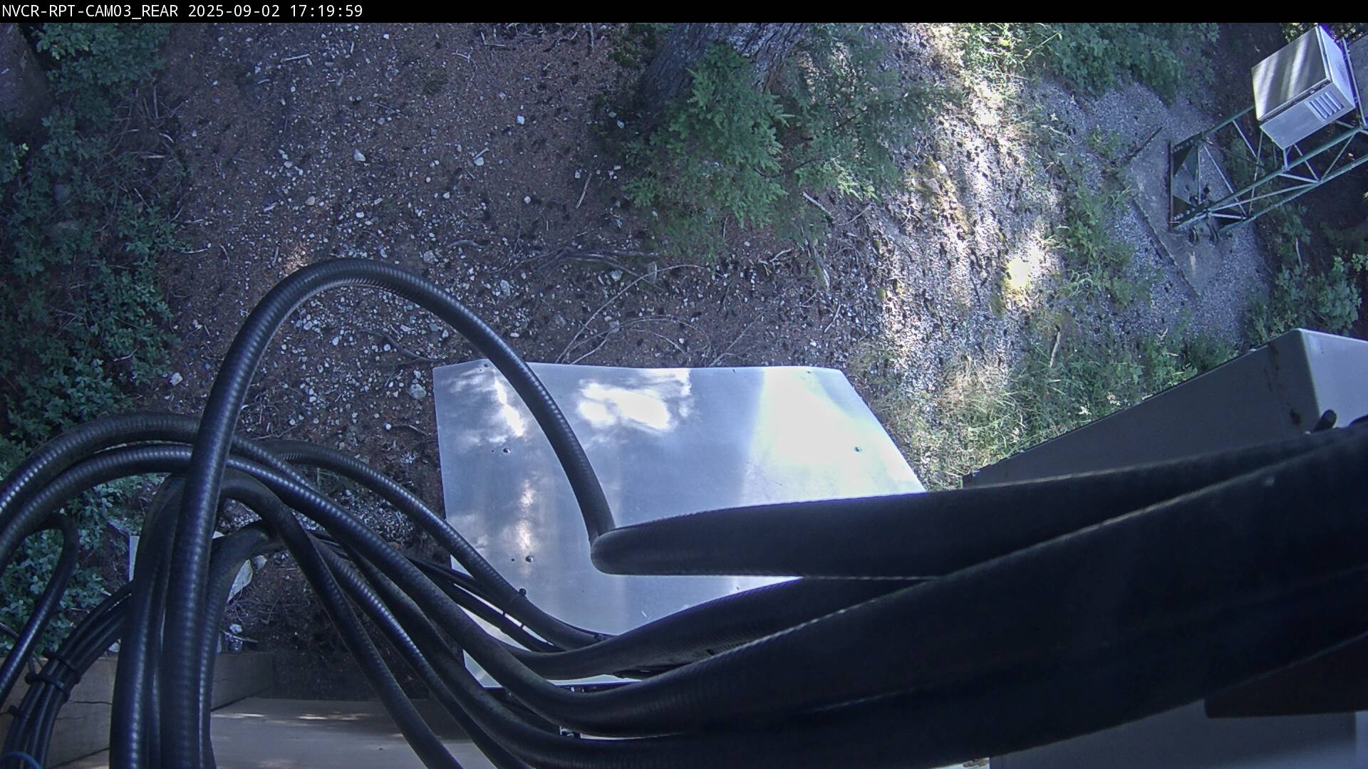 Web Cam History Image - 257