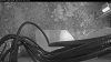 Web Cam Image - Sat, 05/02/2026 5:04am PDT
