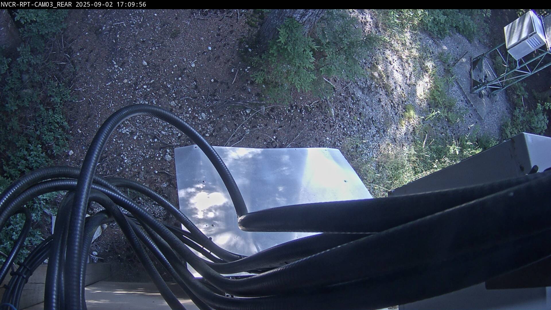 Web Cam History Image - 258
