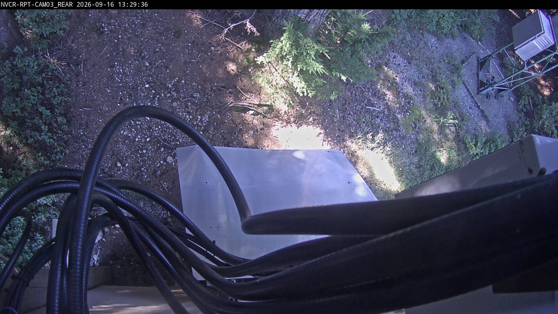 Web Cam History Image - 258