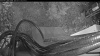 Web Cam Image - Tue, 05/12/2026 3:59am PDT