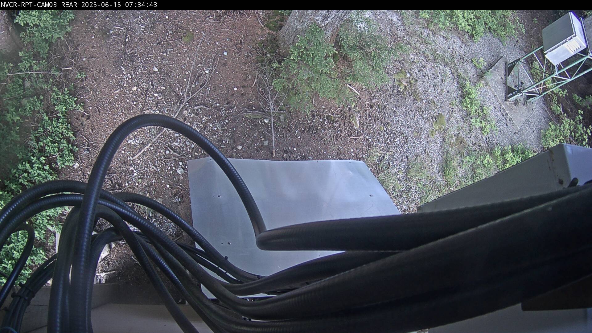 Web Cam History Image - 260