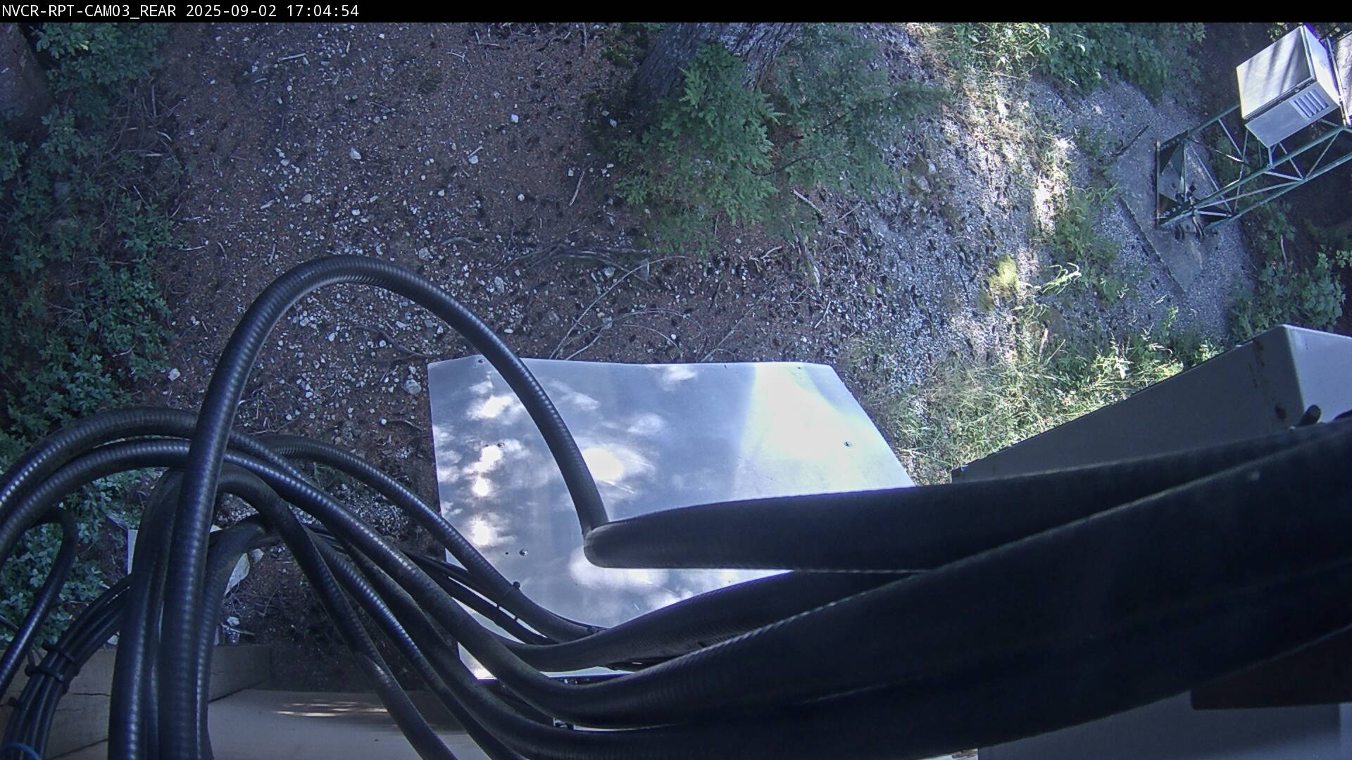 Web Cam History Image - 260