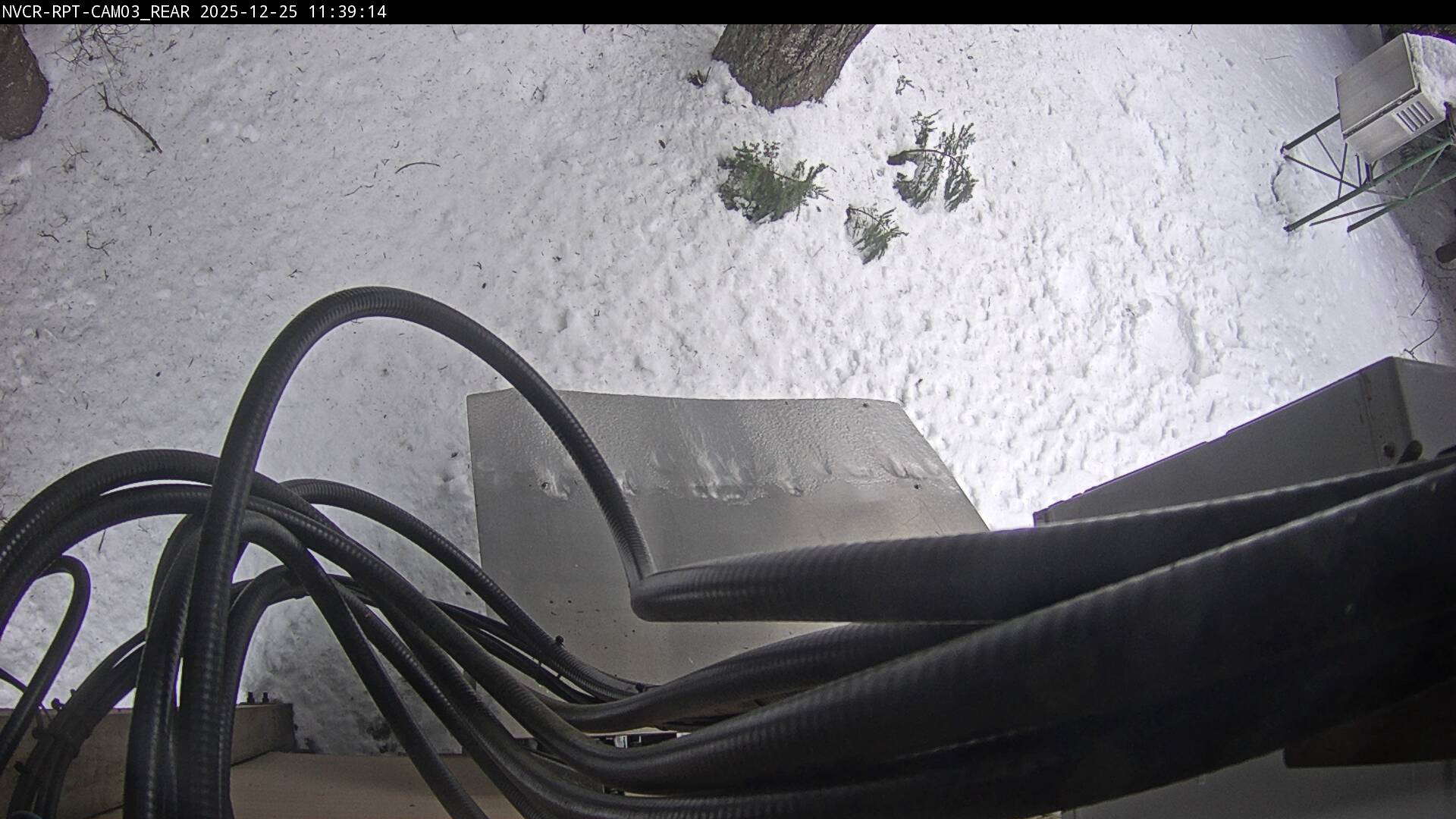 Web Cam History Image - 260