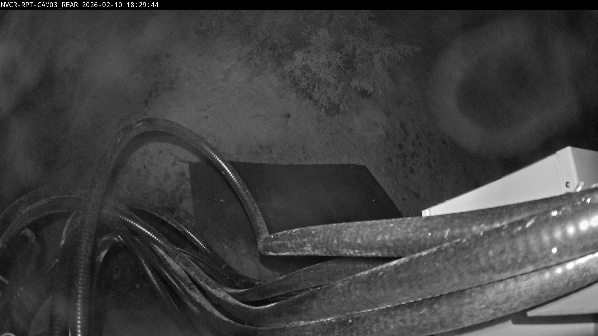 Web Cam History Image - 260