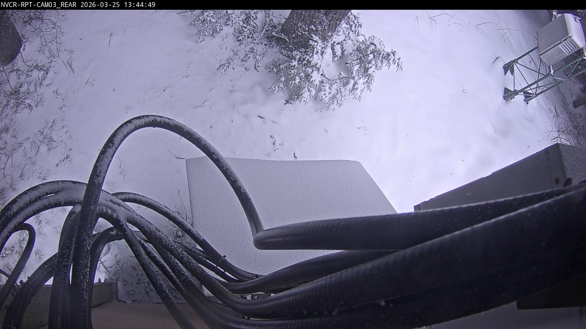 Web Cam History Image - 260