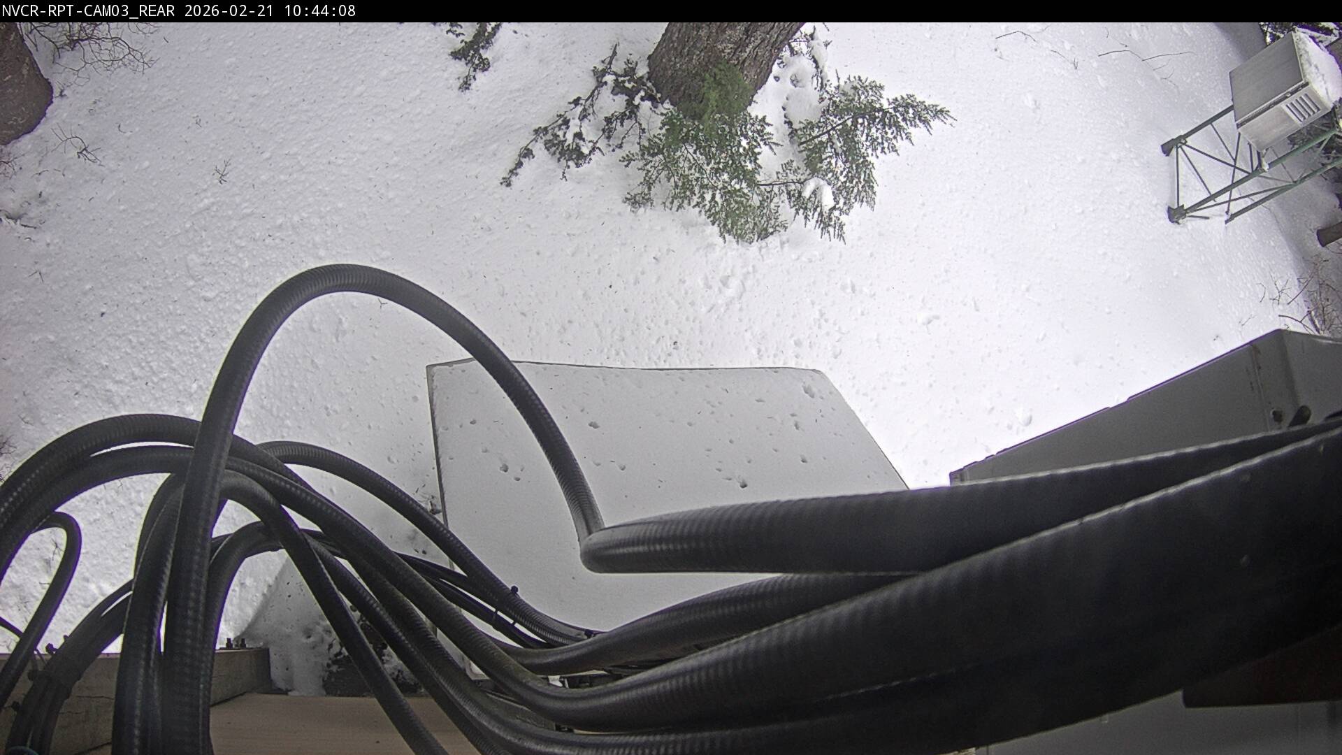 Web Cam History Image - 27