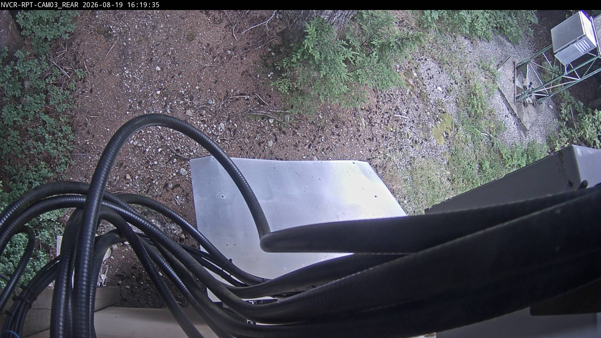 Web Cam History Image - 27