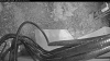 Web Cam Image - Sat, 05/02/2026 4:49am PDT