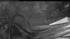 Web Cam Image - Tue, 05/12/2026 3:49am PDT