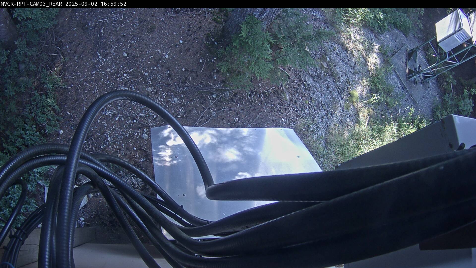 Web Cam History Image - 261