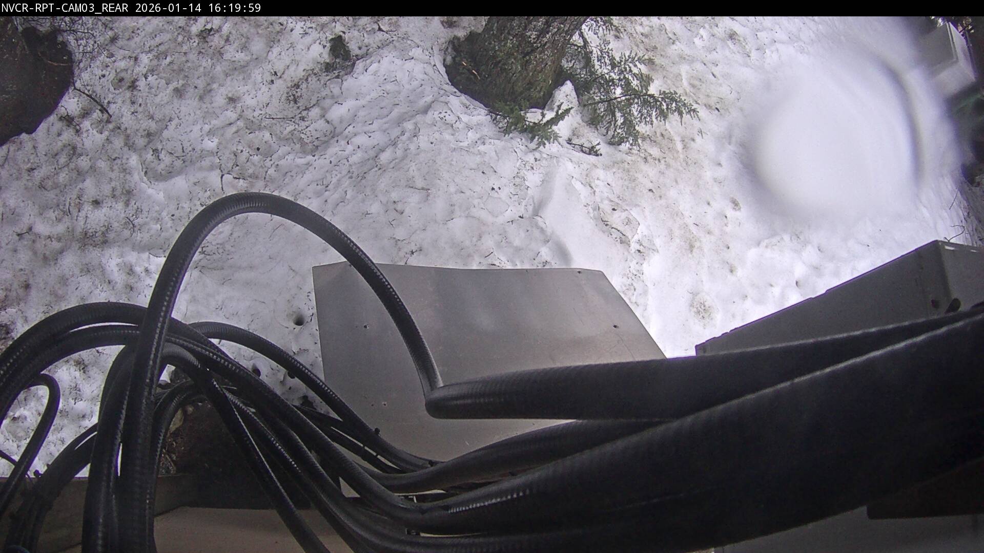 Web Cam History Image - 262